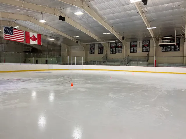 Flynn Rink
