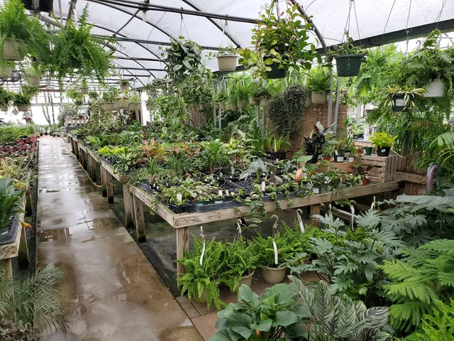 Spring Farm Greenhouse