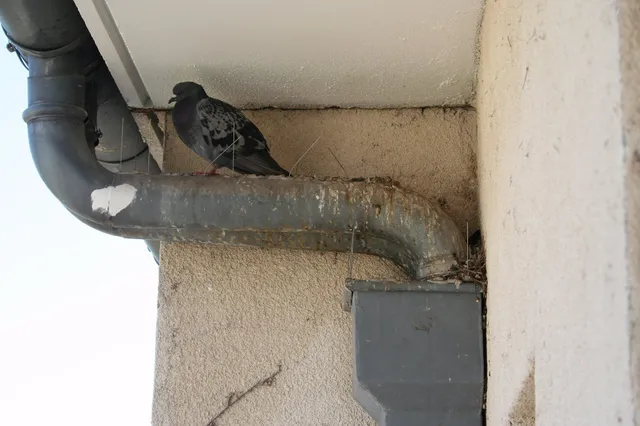 Residence les amandiers