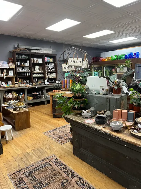 The Bristol Botanist