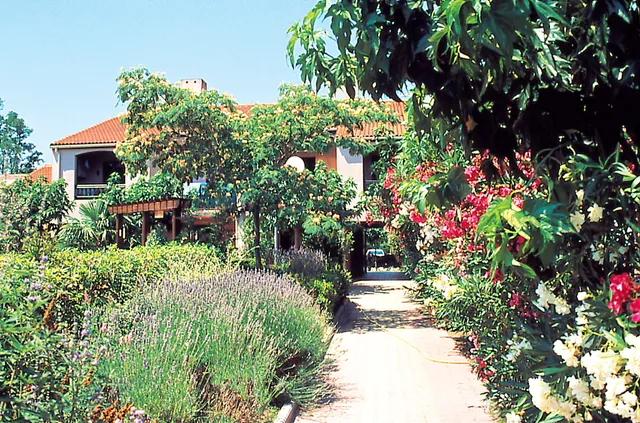 LES RIVES DE LA MASSANE