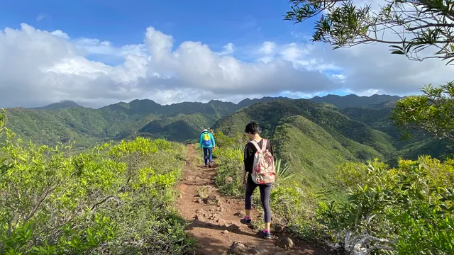 Mauʻumae Ridge Trail (Puʻu Lanipō)