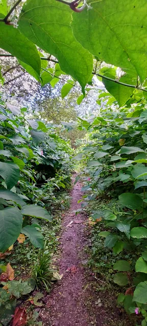 photo-1
