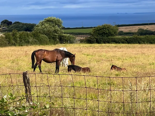 High Bullen Farm Self catering cottages and Shepherd huts