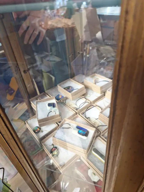 Nine Lives Thrift Shop