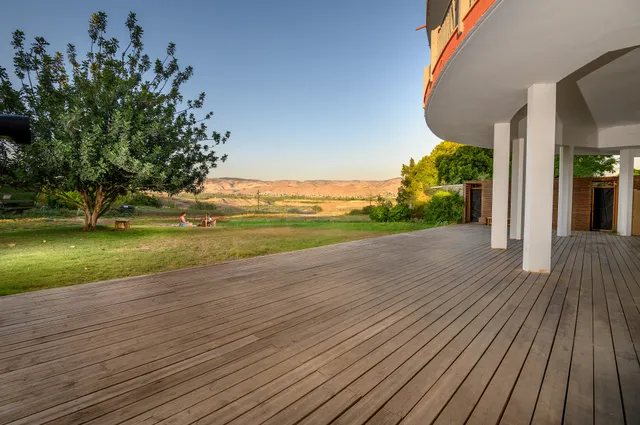 מקור החסידה