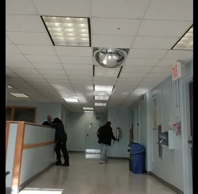 Bronx Food Stamps Office