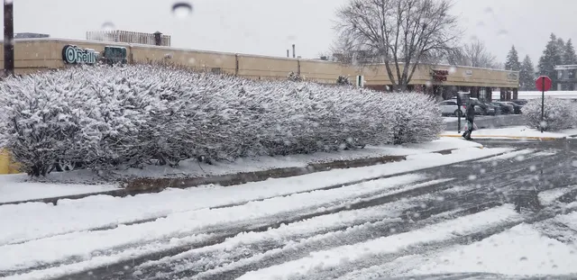 Zanebrook Shopping Center