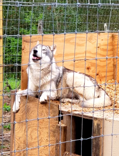 Standley Feed & Seed Iola