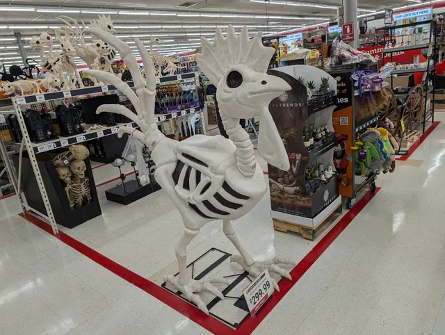 Sequoyah Crossing Shopping Center