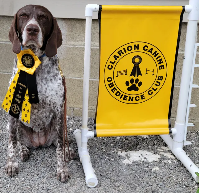 Clarion Canine Obedience Club