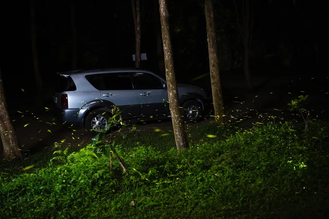 清景農場（肖楠美地）