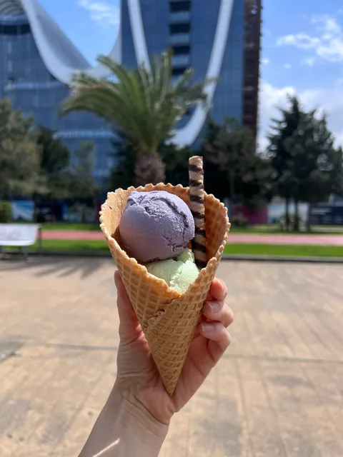 Tolia • თოლია