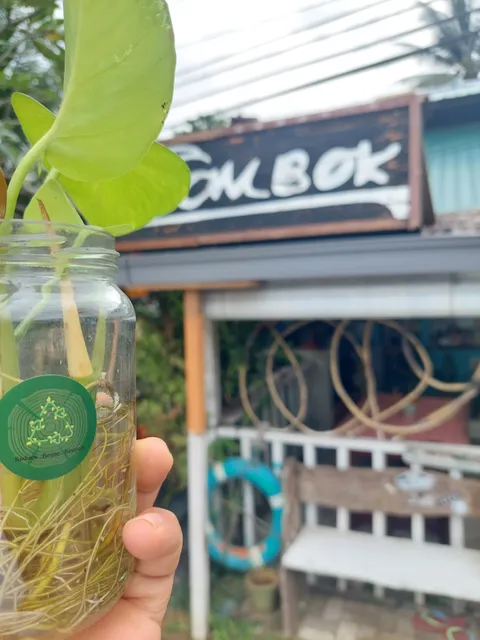 Ombok Cherating Surf Cafe