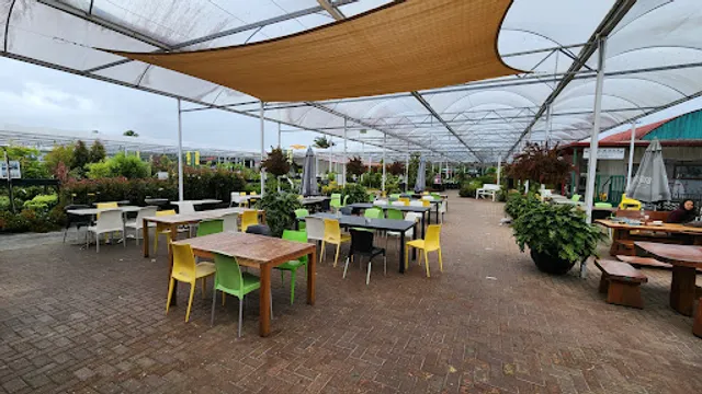 Kings Garden Cafe Silverdale