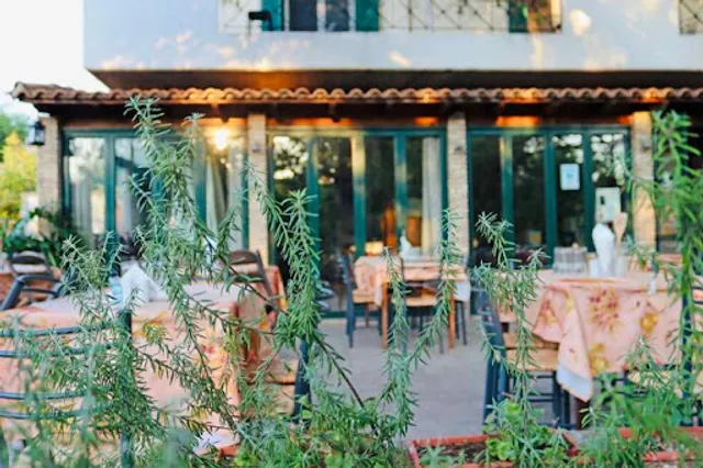 THE OPTIONS OF LEFKOTHEAS