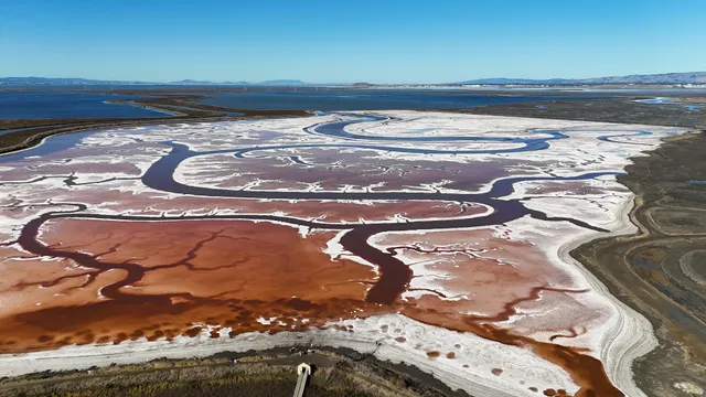 Alviso Marina Boat Launch Ramp