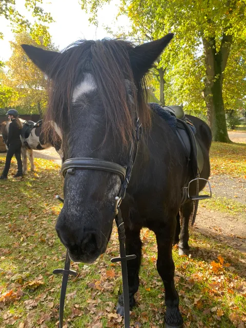 Isländerhof Rutenmühle