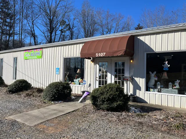 Bella's Blooms by Dish GardenArT, llc (Florist & Event Planning)