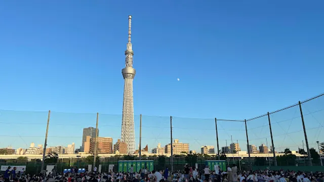 Boy's Baseball Field