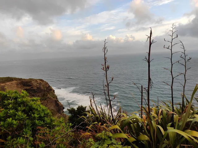 Hillary Trail (Section 4)