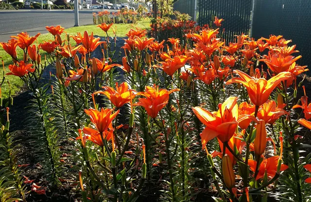 Battle Ground High School