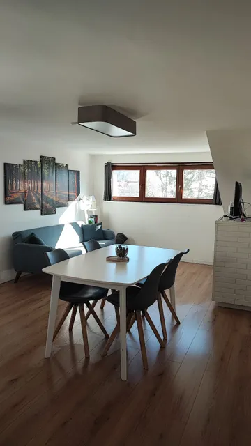 Attico Stella Alpina