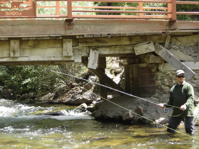 Cub River Lodge, Guest Ranch & RV Parks