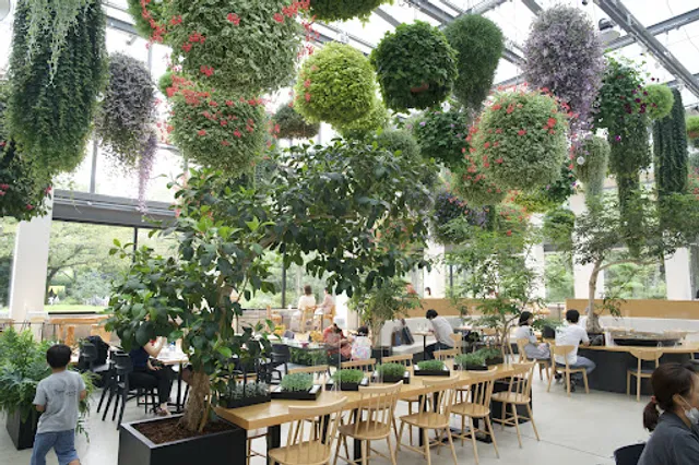 STARBUCKS Yomiuri Land HANA·BIYORI