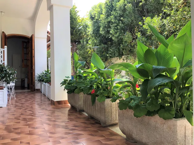 B&B Il Villino Torre Dell'Orso