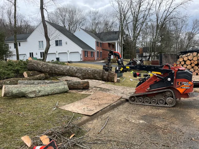 Leo’s Tree Service