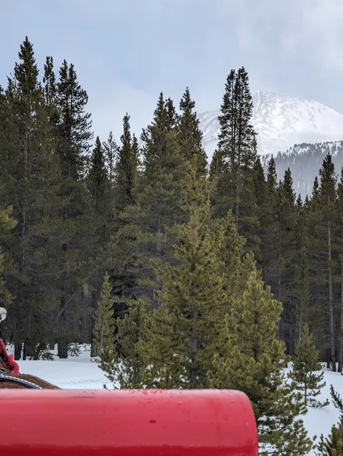 Golden Horseshoe Sleigh Rides