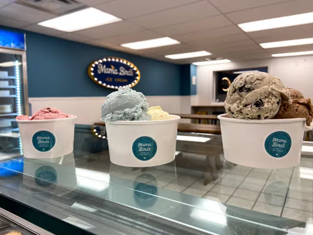 Mama Bird's Ice Cream