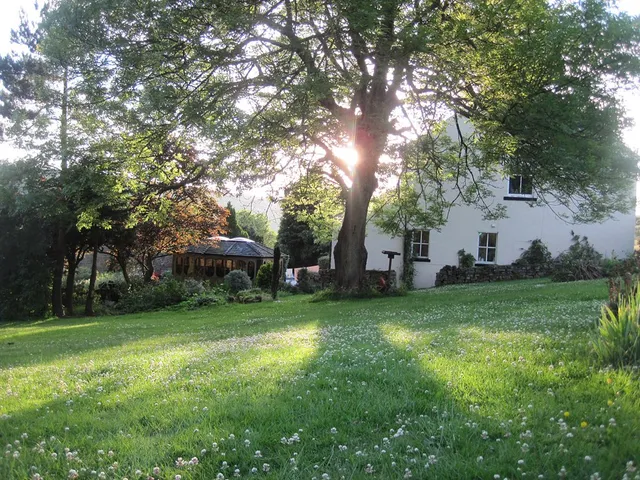 The Tree Relaxation Retreat