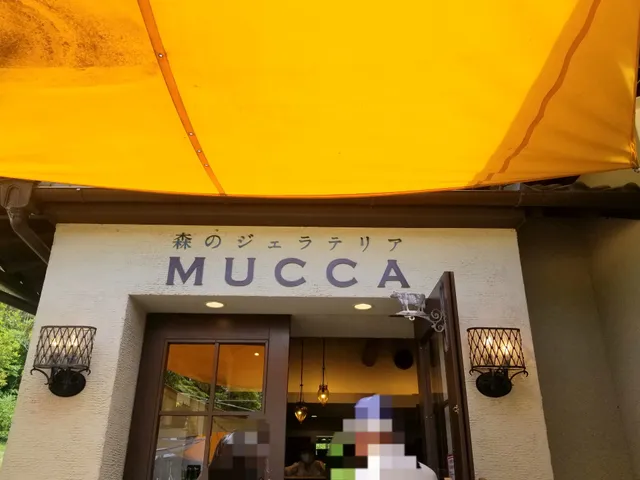 森のジェラテリアMUCCA