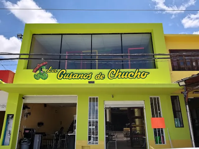 Los gusanos de Chucho Oficial