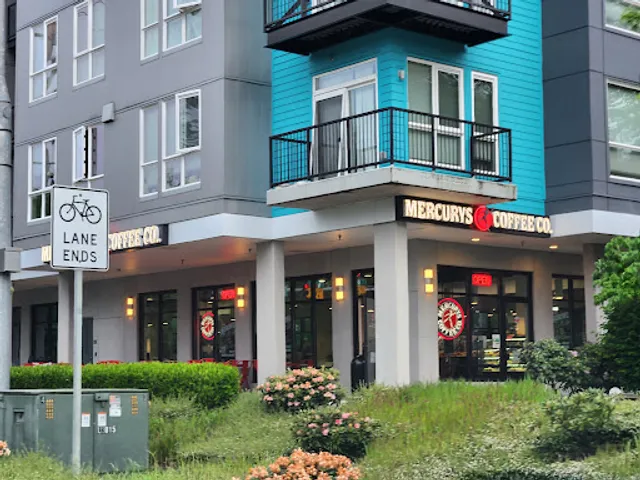 Mercurys Coffee Co. - Pure