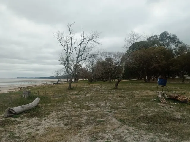 The Old Bridge Caballada