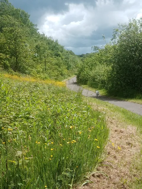 Florence Country Park