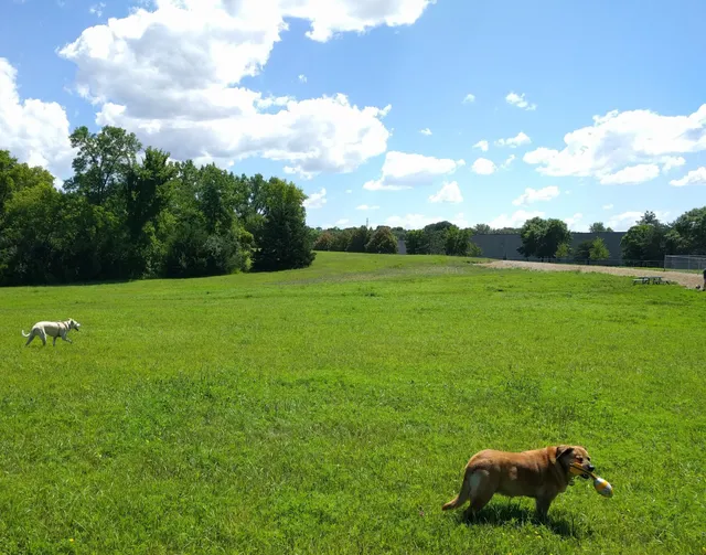 Bloomington Off-leash Dog Park