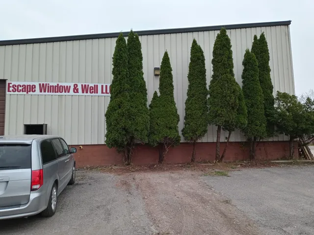Escape Window & Well Llc
