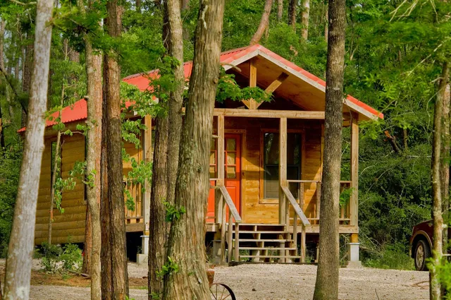 Cabins in the Thicket