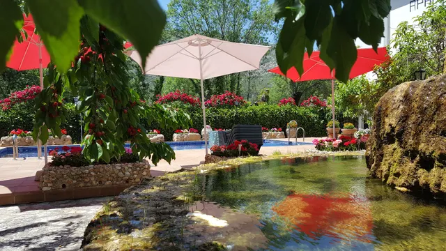 APARTMENTS El Parral