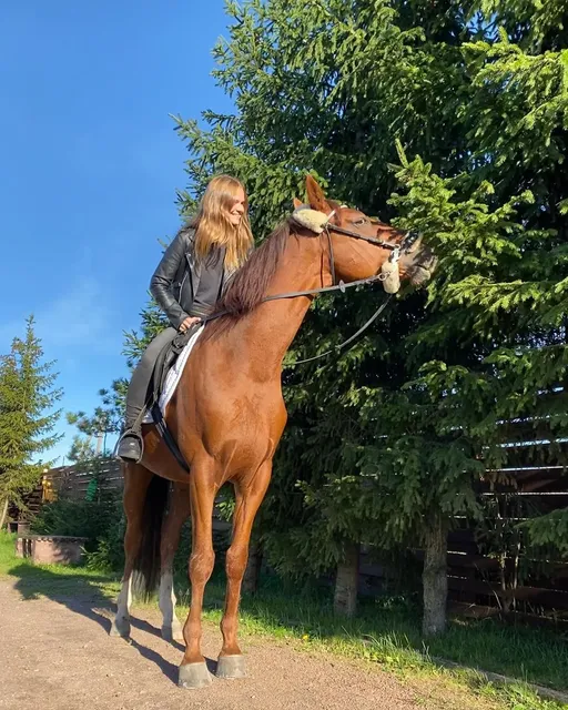 Country Club Village SOYKINO