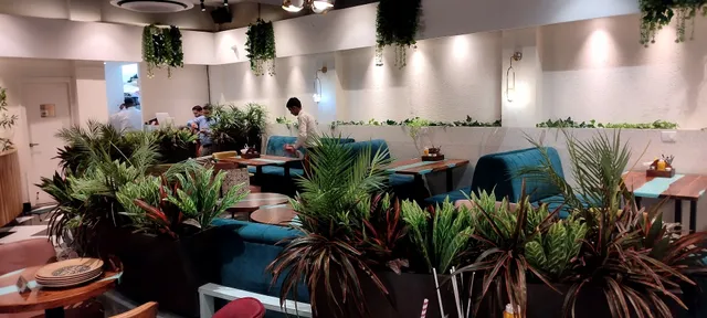 BLU OLIVE RESTAURANT GREATER KAILASH JAMMU