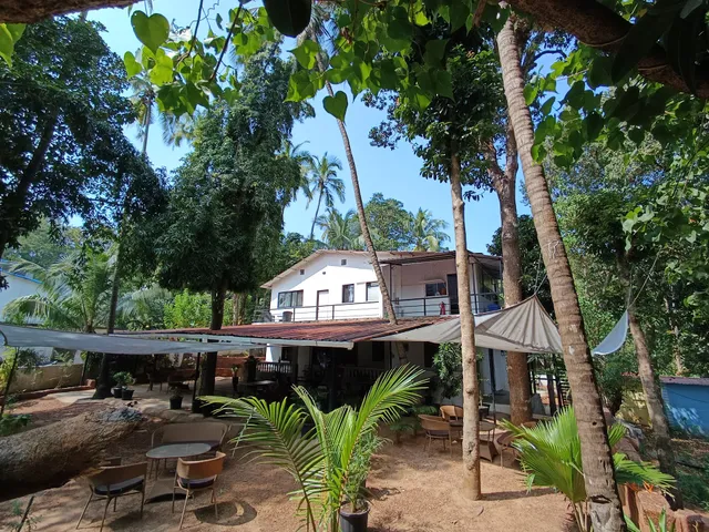 Jangala Resort