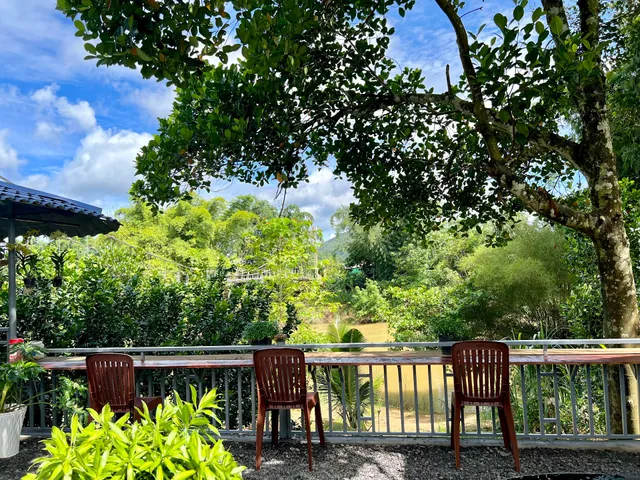 Xanh Homestay & coffee