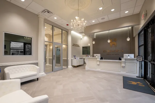 K9 Resorts Luxury Pet Hotel North Olmsted