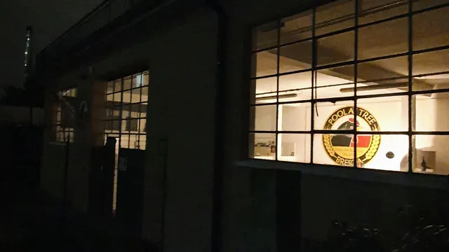 BIRRA POOL AS TREE SRL