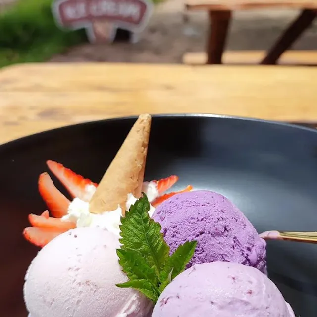 MANGO gelateria artigianale